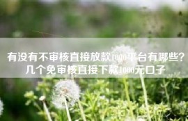 有没有不审核直接放款1000平台有哪些？几个免审核直接下款1000元口子