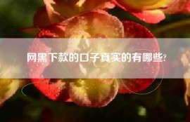 网黑下款的口子真实的有哪些?
