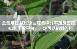 急需用钱,试试这些综合评分不足负债高2022能下款平台，一定可以借到的！