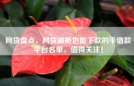 网贷盘点，网贷被拒也能下款的平借款平台名单，值得关注！