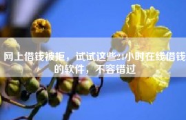 网上借钱被拒，试试这些24小时在线借钱的软件，不容错过