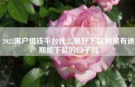 2022黑户借钱平台什么最好下款,网黑有逾期能下款的口子吗