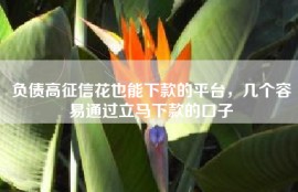 负债高征信花也能下款的平台，几个容易通过立马下款的口子