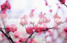 如何取得银行大额贷款？三种方案