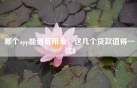 哪个app能借备用金，这几个贷款值得一试！