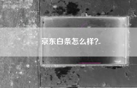 京东白条怎么样？