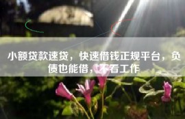 小额贷款速贷，快速借钱正规平台，负债也能借，不看工作