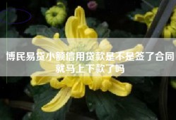 博民易贷小额信用贷款是不是签了合同就马上下款了吗