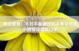 精选整理！千万不能错过的不看征信的小额借钱借款口子