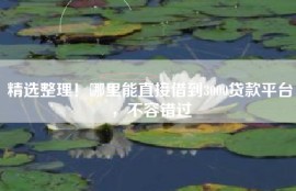 精选整理！哪里能直接借到3000贷款平台，不容错过