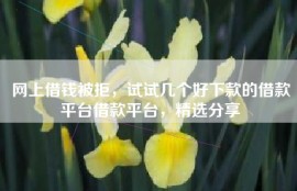 网上借钱被拒，试试几个好下款的借款平台借款平台，精选分享
