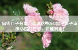 借钱口子分享：试试这些2022黑户口子审核必过的口子，快速到账！