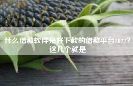 什么借款软件是好下款的借款平台2022？这几个就是