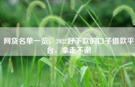 网贷名单一览，2022好下款的口子借款平台，拿走不谢