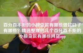 百分百不拒的小额贷款有哪些借款口子有哪些？精选整理的几个百分百不拒的小额贷款有哪些网贷app
