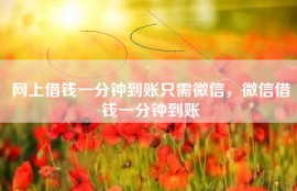 网上借钱一分钟到账只需微信，微信借钱一分钟到账