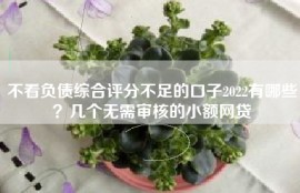 不看负债综合评分不足的口子2022有哪些？几个无需审核的小额网贷