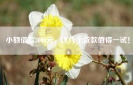小额借款3000元，这几个贷款值得一试！