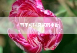 有车可以贷款的平台