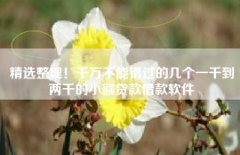 精选整理！千万不能错过的几个一千到两千的小额贷款借款软件