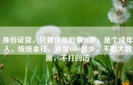 身份证贷，只要你年龄满18岁，是个成年人，统统拿钱，额度6000起步，不看大数据，不打回访