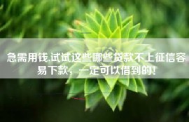 急需用钱,试试这些哪些贷款不上征信容易下款，一定可以借到的！