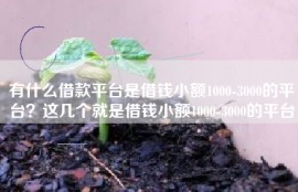 有什么借款平台是借钱小额1000-3000的平台？这几个就是借钱小额1000-3000的平台