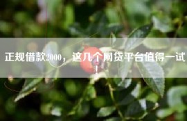 正规借款2000，这几个网贷平台值得一试！