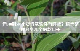 借300到500小贷借款软件有哪些？精选整理分享几个借款口子