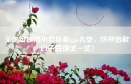 无需审核的小额贷款app名单，这些借款口子值得试一试！