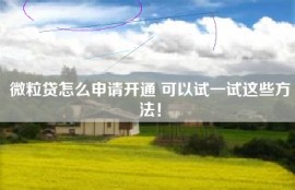 微粒贷怎么申请开通 可以试一试这些方法！
