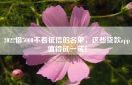 2022借5000不看征信的名单，这些贷款app值得试一试！