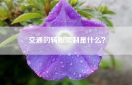 交通的转账限制是什么？