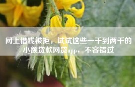 网上借钱被拒，试试这些一千到两千的小额贷款网贷app，不容错过