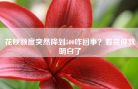 花呗额度突然降到500咋回事？看完你就明白了