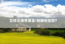 怎样买债券基金?有哪些类型？
