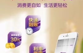 随心智贷借款特点和优势全面揭秘，随心智贷借款额度如何评估？