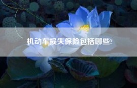 机动车损失保险包括哪些?