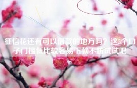 征信花还有可以借款的地方吗？这5个口子门槛低比较容易下款不妨试试吧