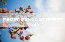 开通京东白条有什么利弊？要不要开京东白条？