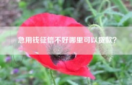 急用钱征信不好哪里可以贷款？