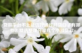 贷款平台不上征信好通过网贷口子有哪些？精选整理分享几个小额贷款