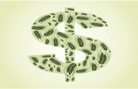 征信报告的基本信息怎么删除？