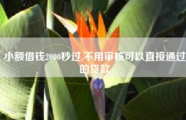 小额借钱2000秒过,不用审核可以直接通过的贷款