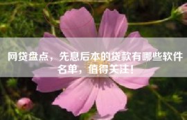 网贷盘点，先息后本的贷款有哪些软件名单，值得关注！