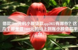 借款1000元的小额贷款app2022有哪些？这几个都是借1000元的马上到账小额借款平台