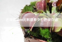 还呗借30000元利息多少？还呗介绍