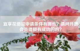 宜享花借款申请条件有哪些？请问开通会员提额有成功的吗？