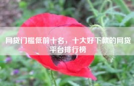 网贷门槛低前十名，十大好下款的网贷平台排行榜