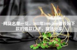 网贷名单一览，2022年1000-5000借钱好下款的借款口子，精选分享